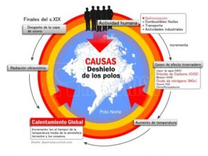 desaparición del polo norte y deshielo