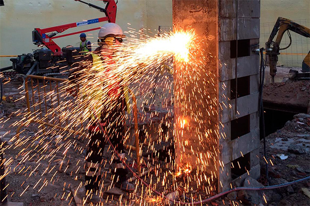 Desmontaje de plantas