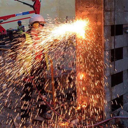 Desmontaje de plantas