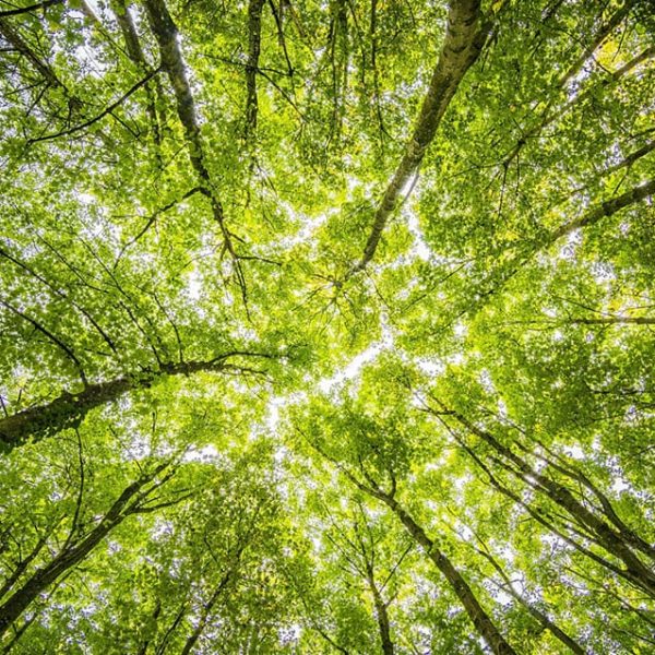reciclaje-de-metales-en-medio-ambiente